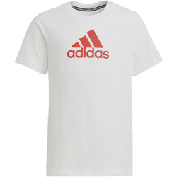 Kleidung Jungen T-Shirts adidas Originals GJ6649 Weiss