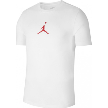 Kleidung Herren T-Shirts Nike CW5190 Weiss