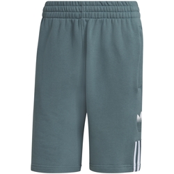 Kleidung Herren Shorts / Bermudas adidas Originals GN3591 Grün
