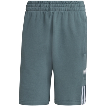 Kleidung Herren Shorts / Bermudas adidas Originals GN3591 Grün