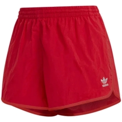 Kleidung Damen Shorts / Bermudas adidas Originals GN2886 Rot