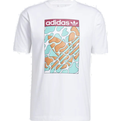 Kleidung Herren T-Shirts adidas Originals GN3900 Weiss