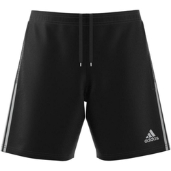 Kleidung Herren Shorts / Bermudas adidas Originals GQ1038 Schwarz