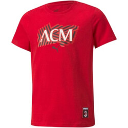Kleidung Jungen T-Shirts Puma 764348 Rot