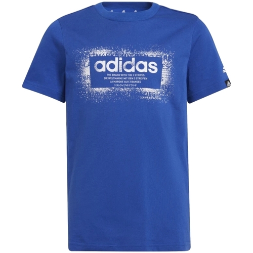 Kleidung Jungen T-Shirts adidas Originals GT1408 Blau