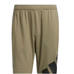 Kleidung Herren Shorts / Bermudas adidas Originals H08756 Grün