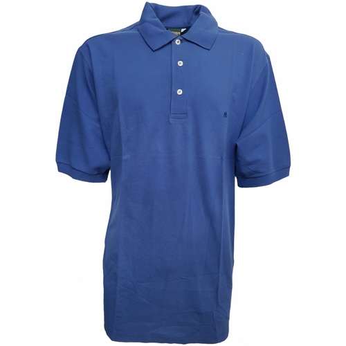 Kleidung Herren Polohemden Invicta A50095 Blau