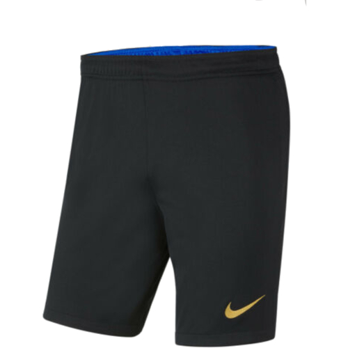 Kleidung Herren Shorts / Bermudas Nike CV8153 Schwarz