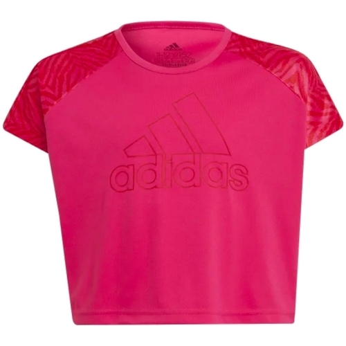 Kleidung Mädchen T-Shirts adidas Originals GT1416 Rosa