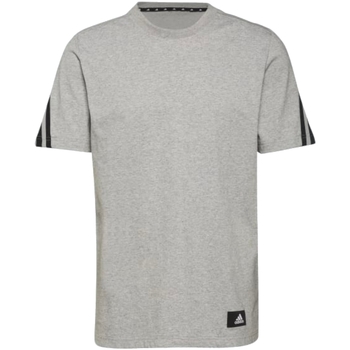 Kleidung Herren T-Shirts adidas Originals H39784 Grau