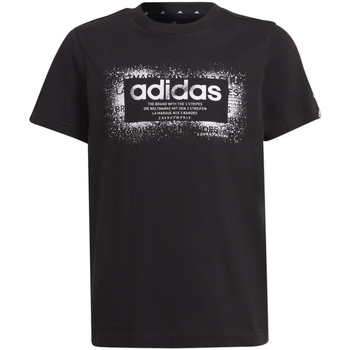 Kleidung Jungen T-Shirts adidas Originals GT1412 Schwarz