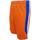Kleidung Herren Shorts / Bermudas Champion 209673 Orange