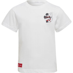 Kleidung Jungen T-Shirts adidas Originals HC1912 Weiss
