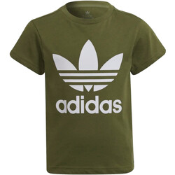 Kleidung Jungen T-Shirts adidas Originals HD2005 Grün