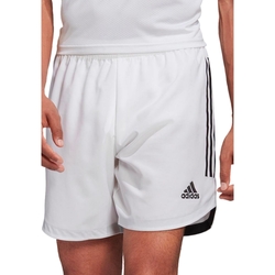 Kleidung Herren Shorts / Bermudas adidas Originals FI4571 Weiss