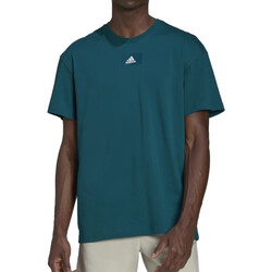 Kleidung Herren T-Shirts adidas Originals HE4356 Grün