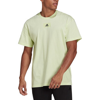 Kleidung Herren T-Shirts adidas Originals HE4366 Grün