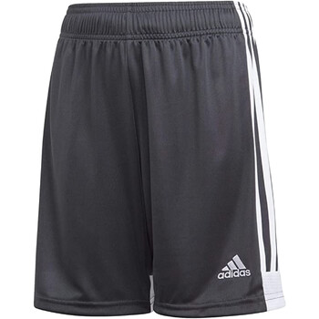 Kleidung Herren Shorts / Bermudas adidas Originals DP3255 Grau