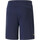 Kleidung Herren Shorts / Bermudas Puma 767116 Blau