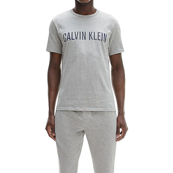 Kleidung Herren T-Shirts Calvin Klein Jeans 000NM1959E Grau