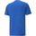Kleidung Herren T-Shirts Puma 767122 Blau