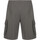 Kleidung Herren Shorts / Bermudas Champion 217432 Grau