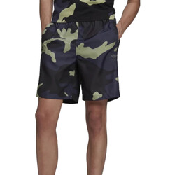 Kleidung Herren Shorts / Bermudas adidas Originals HF4872 Kaki
