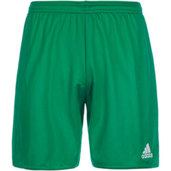 Kleidung Herren Shorts / Bermudas adidas Originals AJ5884 Grün