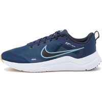 Schuhe Herren Laufschuhe Nike DD9293 Blau
