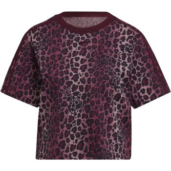 Kleidung Damen T-Shirts adidas Originals HK5183 Violett
