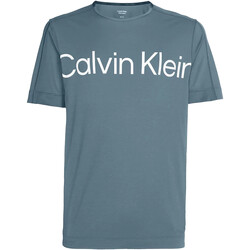 Kleidung Herren T-Shirts Calvin Klein Jeans 00GMS3K102 Grün
