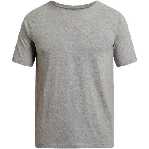 Kleidung Herren T-Shirts Energetics 422484 Grau
