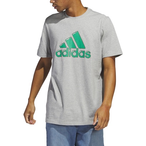 Kleidung Herren T-Shirts adidas Originals HS2514 Grau