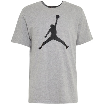 Kleidung Herren T-Shirts Nike CJ0921 Grau