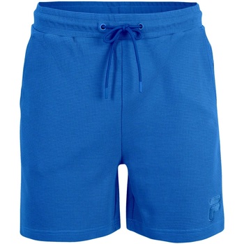 Kleidung Herren Shorts / Bermudas Fila FAM0311 Grün