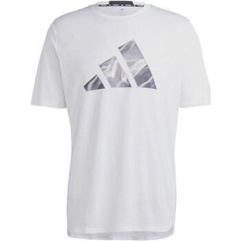 Kleidung Herren T-Shirts adidas Originals IB7921 Weiss