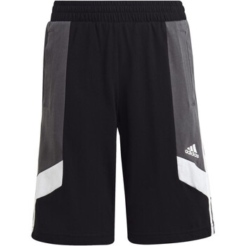 Kleidung Jungen Shorts / Bermudas adidas Originals HR6327 Schwarz