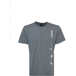 Kleidung Herren T-Shirts Colmar 7553 Grau