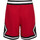 Kleidung Herren Shorts / Bermudas Nike DX1487 Rot