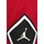 Kleidung Herren Shorts / Bermudas Nike DX1487 Rot