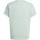 Kleidung Jungen T-Shirts adidas Originals IB9152 Grün