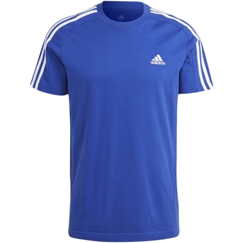 Kleidung Herren T-Shirts adidas Originals IC9338 Blau