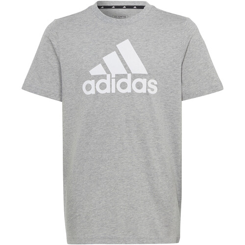 Kleidung Jungen T-Shirts adidas Originals HR6379 Grau