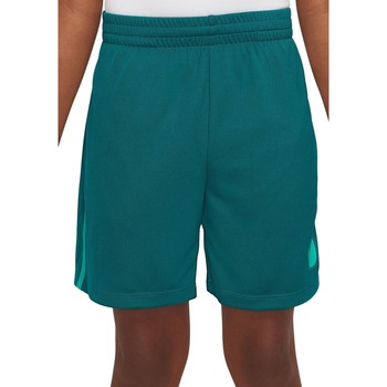 Kleidung Jungen Shorts / Bermudas Nike DX5361 Grün