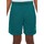 Kleidung Jungen Shorts / Bermudas Nike DX5361 Grün