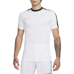Kleidung Herren T-Shirts Nike DV9750 Weiss