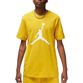 Kleidung Herren T-Shirts Nike CJ0921 Gelb