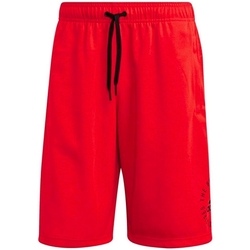 Kleidung Herren Shorts / Bermudas adidas Originals DQ1474 Rot
