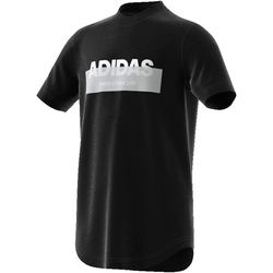 Kleidung Jungen T-Shirts adidas Originals DV1646 Schwarz