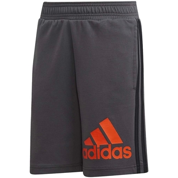 Kleidung Jungen Shorts / Bermudas adidas Originals DV0811 Grau